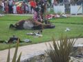 fete 2016 (70).jpg